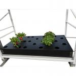 PP 4ft*16ft Vegetable Planting Rack Customized Aeroponics Growing Systems for sale