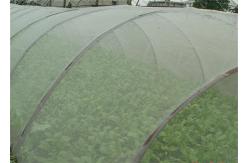 China Durable 5 Years Usage Insect Repellent Net 20x10 Anti Aphid Net Growing Greenhouse supplier