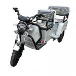 Leisure Model Walker Electric Power Assisted Tricycle 800W 30-50Km/h for sale