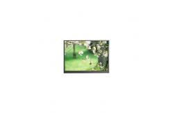 China New F070A57T-6T1 7.0 inch LCD Display Monitor supplier