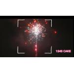 Chinese Factory Wholesale 124 Shots Cake Fireworks Pyrotechnics with Great Effect for sale