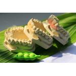 Flexible Invisible Denture