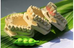 China Flexible Invisible Denture supplier