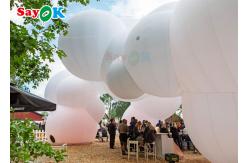 China Event PVC Custom Cloud Shaped Balloons With Two Sides Digital Printing supplier