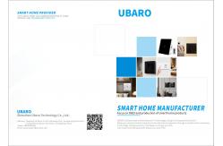 China Dual Light Switch manufacturer