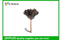 China Professional Home Cleaning Tool Ostrich Feather Duster Bamboo Handle supplier