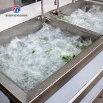 1.1KW Commercial eddy current bubble washing machine ozone multifunctional vegetable washing machine