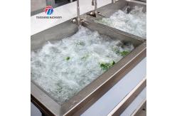 China 1.1KW Commercial eddy current bubble washing machine ozone multifunctional vegetable washing machine supplier