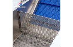 China Tengsheng Fruit And Vegetable Washing Machine Pests Eliminating Saint Dragon Fruit supplier