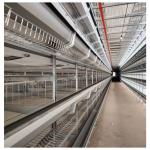 Space-Saving Design High Yield H-Type Fully Automatic Layer Cages for Modern Farms for sale