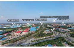 China Steel Structure Building manufacturer