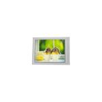 F055A30FHD3-6T1 5.5 inch 1080*2160 LCD Screen for sale