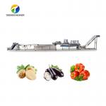 1500KG/H Fruit And Vegetable Processing Line cleaning Sorting Machine for sale
