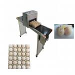 High Performance Egg Inkjet Marking Machine With Unlimited Printing Length for sale