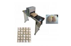 China High Performance Egg Inkjet Marking Machine With Unlimited Printing Length supplier