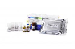 China 96T/Kit Elastase Assay Kit For Determination Male Infertility Diagnosis supplier