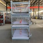 H Type Broiler Cage With Poultry Drinking System for sale