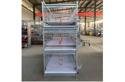 China One Day Old Baby Chicks Cage Poultry Drinking System supplier