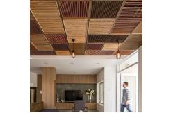 China OEM Suspend Metal Ceiling Design Polyester Powder Coating With LED Light supplier