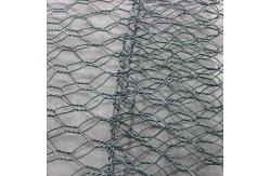 China Polyester Separation Stone Cage Wire Mesh 80x100mm Gabion Wall Mesh supplier