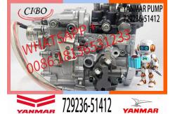 China Fuel Injection Pump 729236-51412 For Yanmar 3TNV88 Engine Injector Pump supplier
