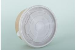 China Withstand Heat Disposable Divided Plastic Plates For Hot Liquids 2 Sections supplier