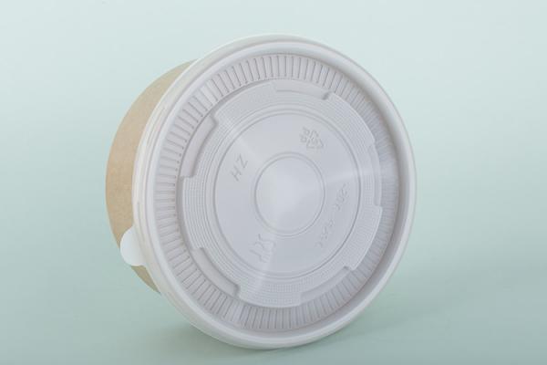 Withstand Heat Disposable Divided Plastic Plates For Hot Liquids 2 Sections