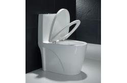 China Low Profile One Piece Elongated Toilet Commode Fully Glazed Siphon Jet Flush supplier