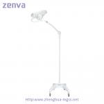 EXLED300M  Mobile Examination Light Portable Floor Standing Surgical Operating Lamp for sale