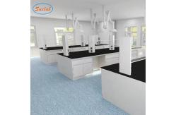 China Anti Corrosion Chemical Resistant Lab Tables Multifunctional Durable supplier