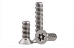 China Cold-Headed Cold-Formed Anti-Theft Screws Custom Security Fasteners Hardware supplier