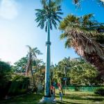 Galvanized Camouflage Tower Telecommunication Artificial Trees for sale