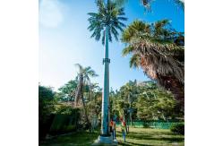 China Galvanized Camouflage Tower Telecommunication Artificial Trees supplier