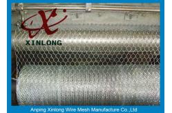 China Hot Dipped Galvanized Hexagonal Wire Mesh With Iso90000 / 2008 Certificate supplier