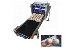 China Eggs Barcode Printing Machine / Batch Number Printing Machine With USB Storage supplier