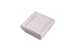 China Custom Biodegradable Lunch Box Sustainable Sushi Burger Salad Packaging Solution supplier