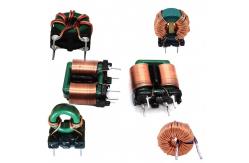 China Customized Common Mode Choke Power Toroidal 1h Inductor supplier