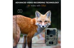 China KW788  Trail Camera hunting camera Waterproof 4K 32MP night vision waterproof infrared camera supplier