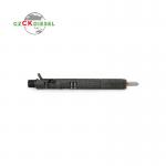 Diesel Fuel Injector EJBR02901D 33800-4X800 338004X800 for Hyundai Engine