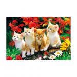 50*70cm 3d Lenticular Poster Animal Theme 3D Flip Effect With MDF Frame