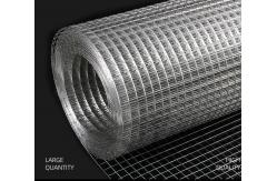 China 1x1in 3x3cm Galvanized Iron Welded Wire Mesh Roll For Netting supplier