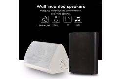 China Conference Speaker For School Teaching Smart Board Accessories supplier