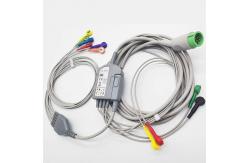 China MDT Physio Control Snap Connector Proximal 10 Lead Ecg Cables supplier