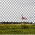 Diamond Pattern Opening 25mm Airport Security Stainless Steel Chain Mesh Fence for sale