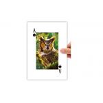 5.6x8.7cm Lenticular Printing 3D Poker Card 4c On Backside Eco - Friendly for sale
