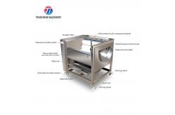 China Tengsheng 1200KG/H Potato Washing And Peeling Machine Carrot Melon Sand Roller supplier