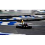 40km/h Electric Go Kart Terrain Clearance 43mm For Children / Adult for sale