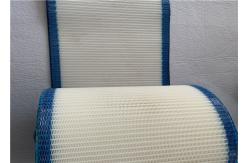 China White And Blue Monofilament Polyester Mesh Belt For Drying Packing Paper supplier