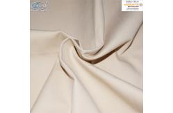 China CVC 310gsm Fire Retardant Fabric Water Resistant Canvas Mould Proof  For Awning supplier