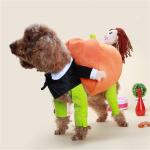 100g Dog Halloween Clothes Carrying Pumpkin Funny Puppy Cosplay for sale